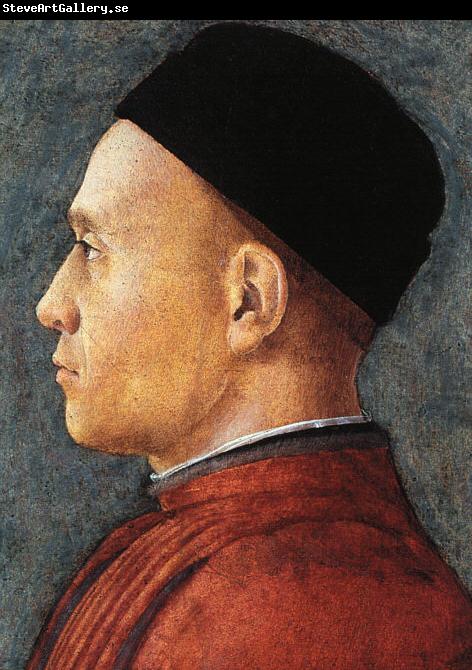 Andrea Mantegna Portrait of a Man  aaa